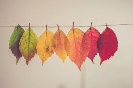 fall leaves on a string